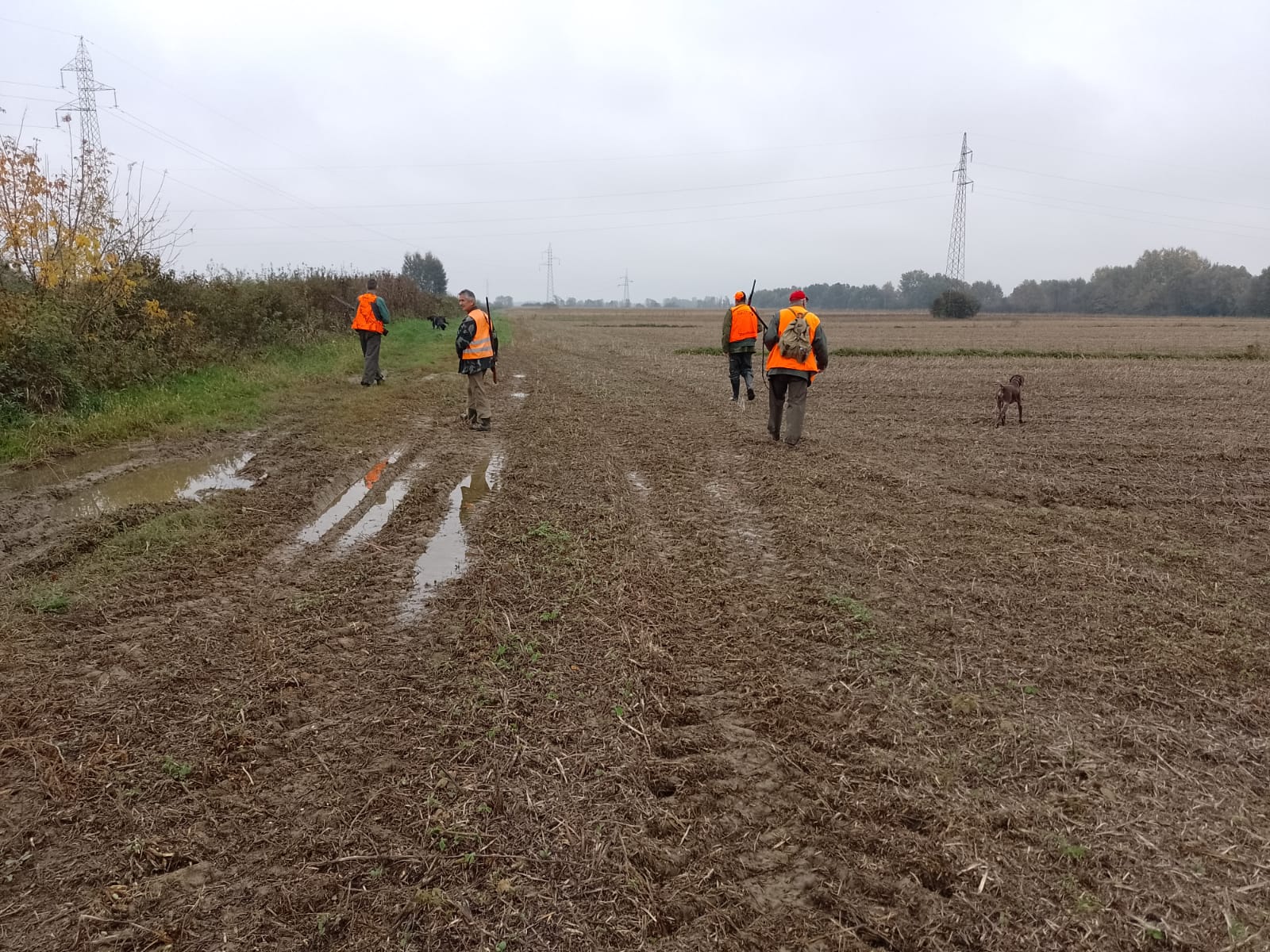 Pročitajte više o članku Danas idemo u poljski lov